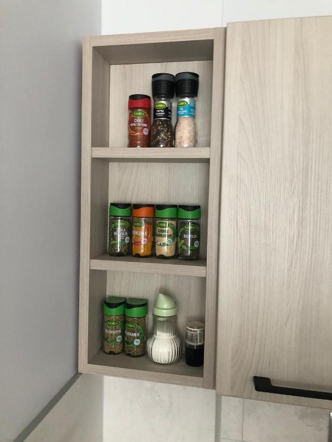 Apartament Na Wierzbowej Parter Leilighet Kędzierzyn-Koźle Eksteriør bilde